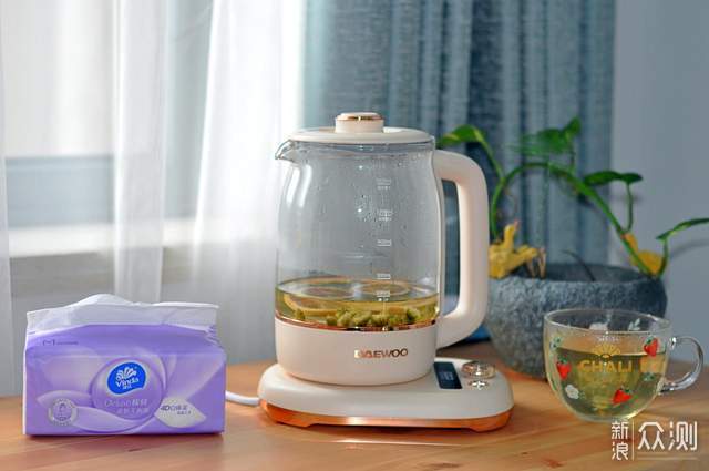 轻食养生，健康生活 我极力推荐的大宇养生壶